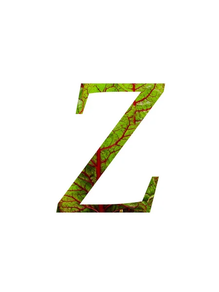 Litera Alfabetu Wykonana Czerwono Zielonego Liścia Szwajcarskiej Chard Warzywnej Beta — Zdjęcie stockowe