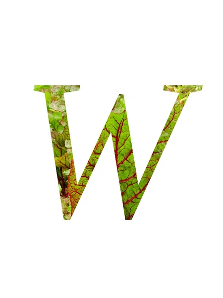 녹색을 스위스 불가리 잎으로 알파벳 배경에 떨어져 붉은색 녹색을 — 스톡 사진