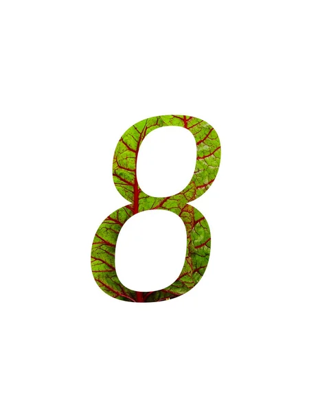 Αριθμός Του Αλφαβήτου Γίνεται Ένα Κόκκινο Και Πράσινο Φύλλο Του — Φωτογραφία Αρχείου