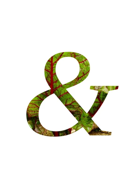 Znak Abecedy Červeným Zeleným Listem Zeleninové Švýcarské Chard Beta Vulgaris — Stock fotografie