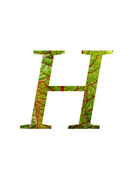 Буква Алфавита Выполненная Красного Зеленого Листьев Овощного Швейцарского Мангольда Beta — стоковое фото