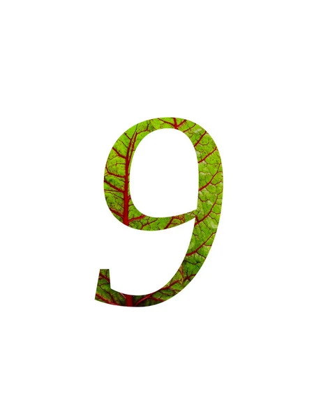 Číslo Abecedy Červeným Zeleným Listem Zeleninové Švýcarské Řapíky Beta Vulgaris — Stock fotografie