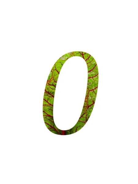 Число Ноль Алфавита Выполнено Красным Зеленым Листом Овощного Швейцарского Мангольда — стоковое фото