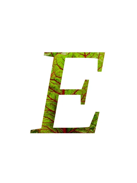 녹색을 스위스 불가리 식물의 잎으로 알파벳 바탕에 떨어져 붉은색 녹색을 — 스톡 사진
