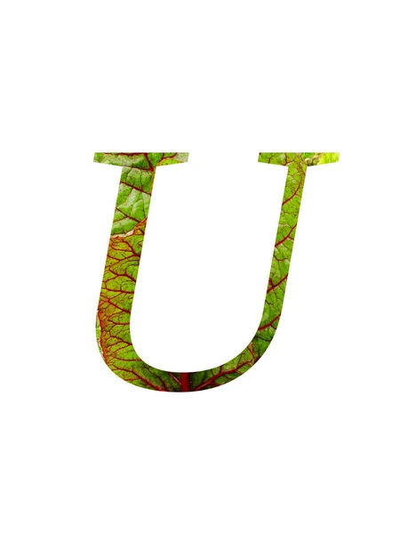 어우러진 스위스 불가리 잎으로 만들어 알파벳 글자는 배경에 떨어져 녹색이다 — 스톡 사진