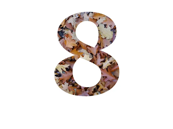 Numer Alfabetu Wykonanego Liści Dębu Brunatnego Jesienią Wyizolowanego Białym Tle — Zdjęcie stockowe