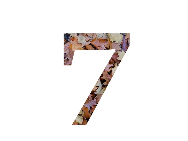第7号字母表 由秋天褐色橡木叶制成 背景为白色 — 图库照片