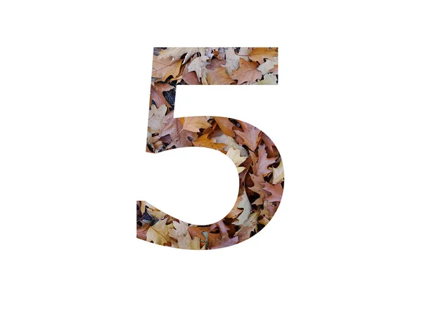 Číslo Abecedy Podzimně Hnědými Dubovými Listy Izolované Bílém Pozadí — Stock fotografie