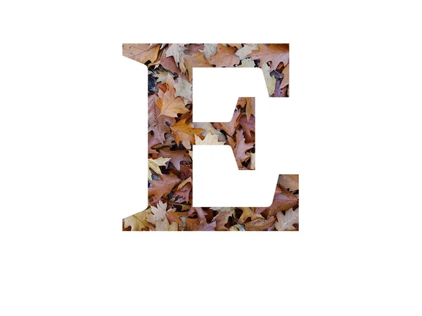 秋の茶色のオークの葉で作られたアルファベットの手紙 白い背景に隔離された — ストック写真