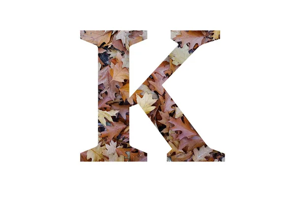 秋の茶色のオークの葉で作られたアルファベットの文字Kは 白い背景に隔離されています — ストック写真