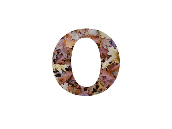Zahl Des Alphabets Aus Herbstbraunen Eichenblättern Isoliert Auf Weißem Hintergrund — Stockfoto