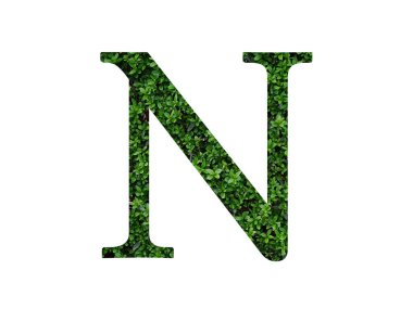 Alfabedeki N harfi yeşil yapraklardan yapılmış, beyaz arkaplanda izole edilmiş.