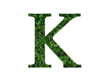 Alfabedeki K harfi yeşil yapraklardan yapılmış, beyaz arkaplanda izole edilmiş.