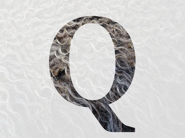 字母Q 字母Q 用卷曲的羊毛制成 颜色为褐色 白色和米黄色 — 图库照片