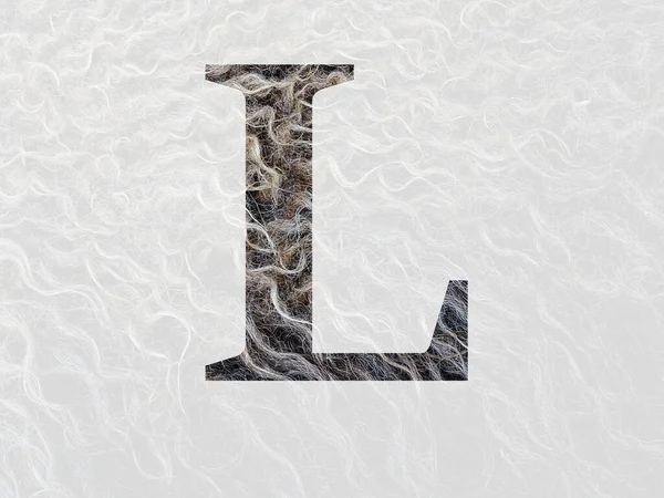 Litera Alfabetu Wykonana Kręconego Słuchu Wełny Owczej Kolorach Brązowym Białym — Zdjęcie stockowe