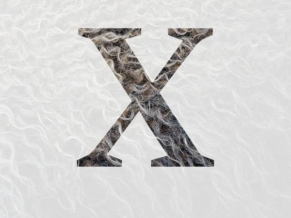 羊の毛の巻き毛で作られたアルファベットの文字Xは ベージュ — ストック写真