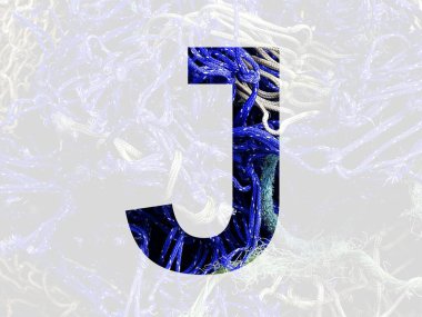 Alfabenin J harfi mavi ve beyaz ipten yapılmış, şeffaf arkaplan ile izole edilmiş.