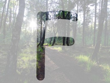 Ormanda gün ışığıyla yapılan alfabenin F harfi, saydam arkaplan ile izole edilmiş.