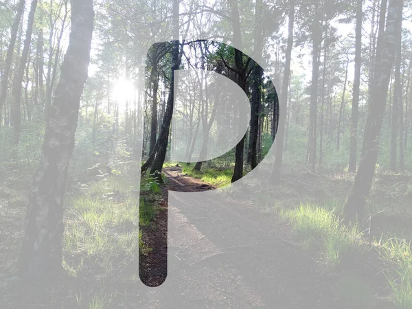 Lettre Alphabet Faite Avec Lumière Soleil Dans Forêt Isolé Avec — Photo
