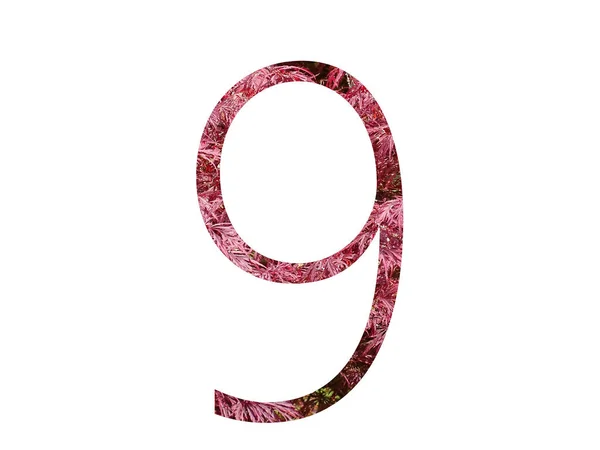 Numer Alfabetu Wykonanego Czerwonych Liści Odizolowanego Białym Tle — Zdjęcie stockowe