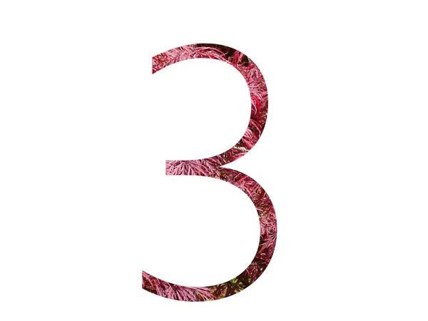 Nummer Des Alphabets Aus Roten Blättern Isoliert Auf Weißem Hintergrund — Stockfoto