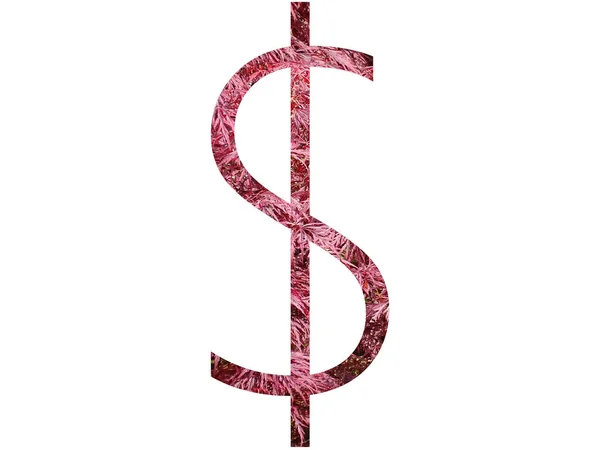 Dollarzeichen Des Alphabets Aus Roten Blättern Isoliert Auf Weißem Hintergrund — Stockfoto