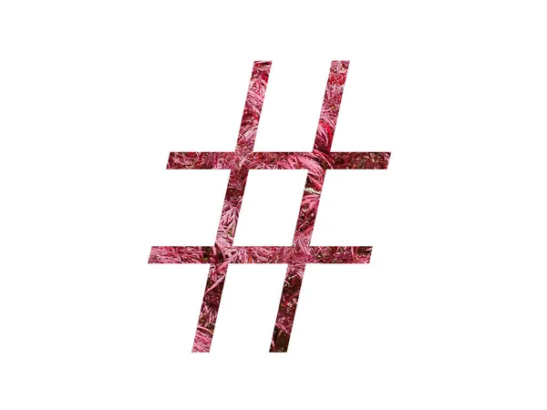 Hashtag Van Het Alfabet Gemaakt Met Rode Bladeren Geïsoleerd Een — Stockfoto