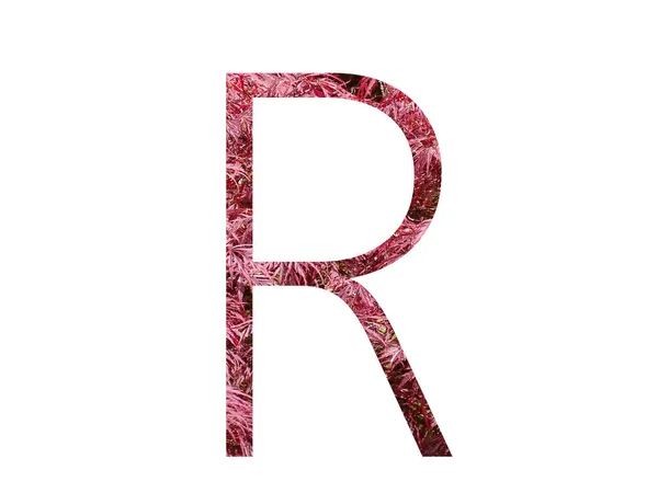 Буква Алфавита Красных Листьев Выделенная Белом Фоне — стоковое фото