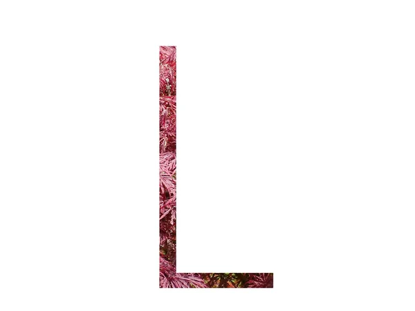 Litera Alfabetu Wykonanego Czerwonych Liści Izolowana Białym Tle — Zdjęcie stockowe