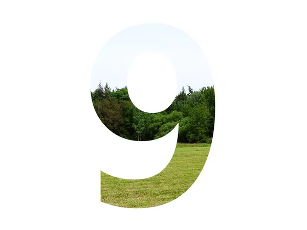 草や森や青空を背景に作られたアルファベットの数9は白い背景に隔離されています — ストック写真