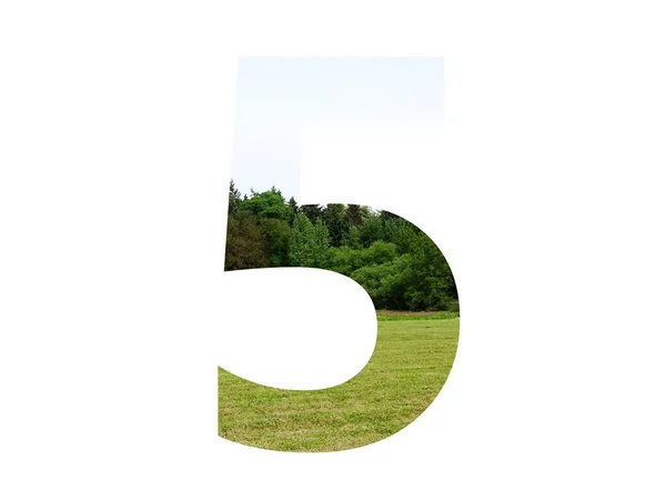 草や森や青空を背景に作られたアルファベットの数5は白い背景に隔離されています — ストック写真