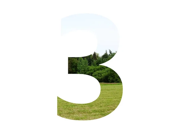 Numer Alfabetu Krajobrazem Trawą Lasem Błękitnym Niebem Odizolowany Białym Tle — Zdjęcie stockowe