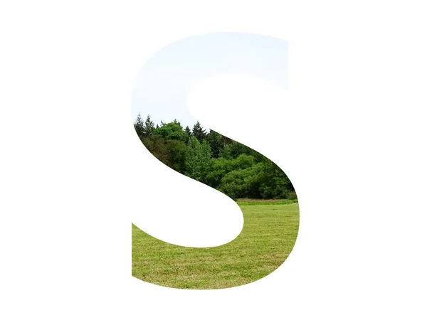 白を基調とした草や森 青空をイメージしたアルファベットのS字 — ストック写真