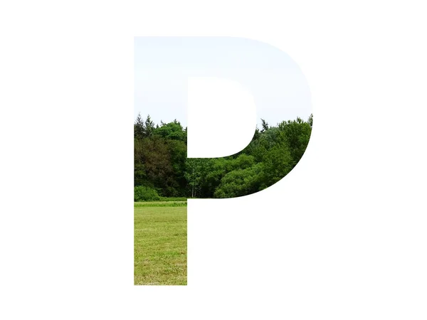 字母P字母表中的字母P 由草地 森林和蓝天构成 以白色背景隔开 — 图库照片