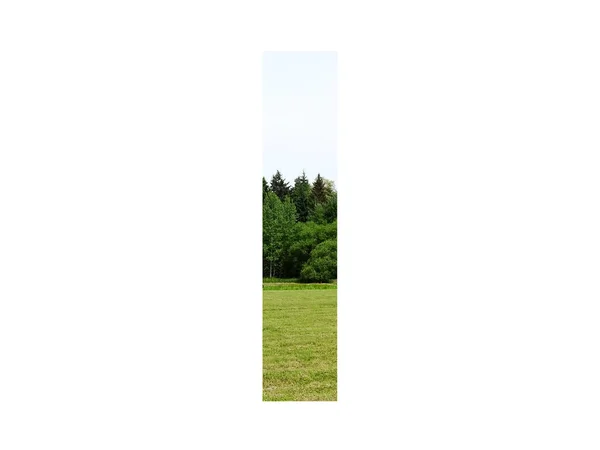 Буква Фасада Выполнена Пейзажем Травой Лесом Голубым Небом Изолированным Белом — стоковое фото