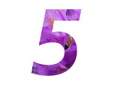 Rhododendron 'un pembe çiçeğinden yapılan alfabenin 5 numarası, beyaz arka planda izole edilmiş.