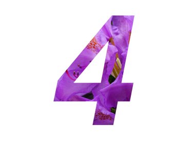 Rhododendron 'un pembe çiçeğiyle yapılan alfabenin 4 numarası, beyaz arka planda izole edilmiş.