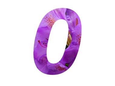 Rododendron 'un pembe çiçeğinden yapılan alfabenin O harfi, beyaz arka planda izole edilmiş.