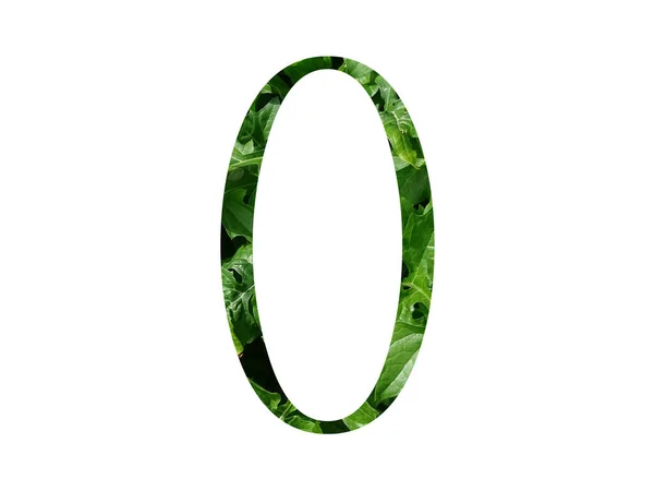 Αριθμός Του Αλφάβητου Γίνεται Φρέσκο Πράσινο Φύλλο Απομονώνονται Λευκό Φόντο — Φωτογραφία Αρχείου