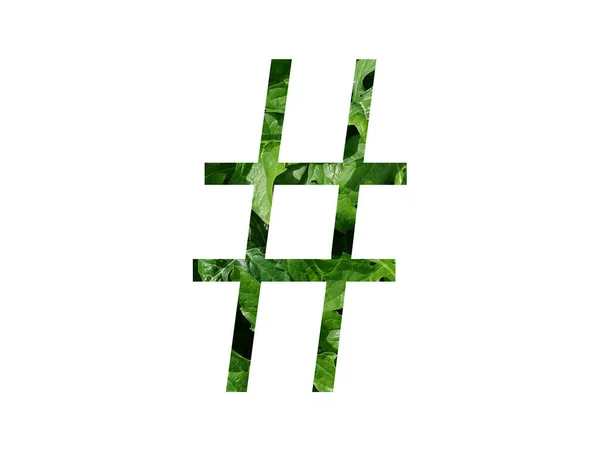 白を基調とした緑の葉で作られたアルファベットのハッシュタグです — ストック写真