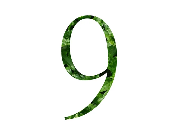 Numer Alfabetu Zrobionego Świeżego Zielonego Liścia Odizolowanego Białym Tle — Zdjęcie stockowe