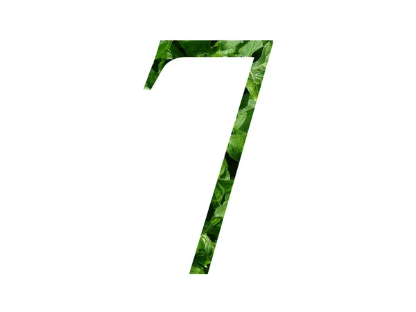Numer Alfabetu Wykonanego Świeżego Zielonego Liścia Odizolowanego Białym Tle — Zdjęcie stockowe