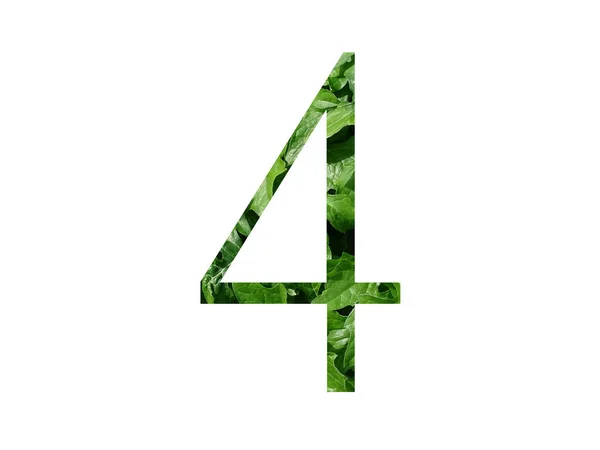 緑の葉で作られたアルファベットの数4は 白い背景に隔離されています — ストック写真
