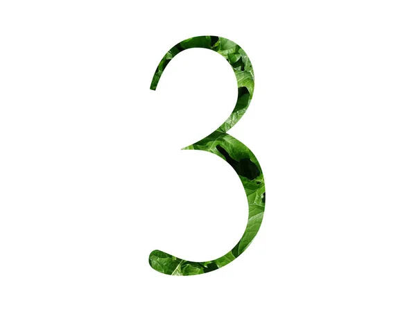 Number Alphabet Made Fresh Green Leaf Isolated White Background — Stock Photo, Image