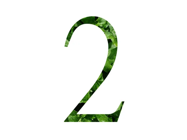 緑の葉で作られたアルファベットの数2 白い背景に隔離された — ストック写真