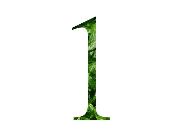 Número Del Alfabeto Hecho Con Hoja Verde Fresca Aislado Sobre — Foto de Stock