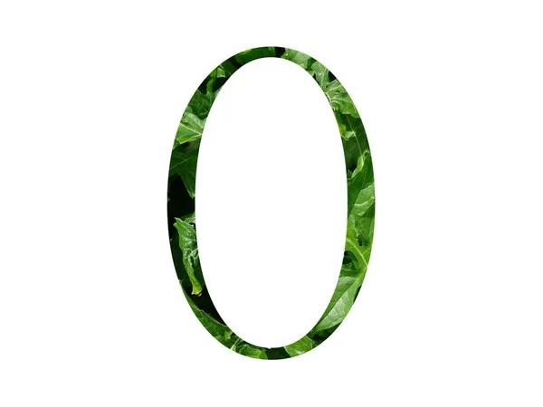 Літера Алфавіту Зроблена Свіжим Зеленим Листом Ізольована Білому Тлі — стокове фото