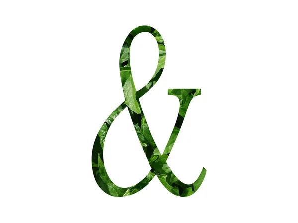 Sinal Alfabeto Feito Com Folha Verde Fresca Isolado Fundo Branco — Fotografia de Stock