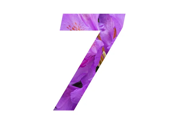 Número Del Alfabeto Hecho Con Flor Rosa Rhododendron Aislado Sobre —  Fotos de Stock