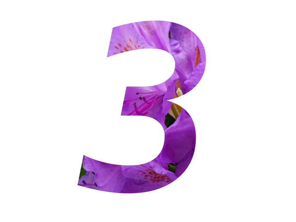 Numero Dell Alfabeto Realizzato Con Fiore Rosa Rododendro Isolato Sfondo — Foto Stock